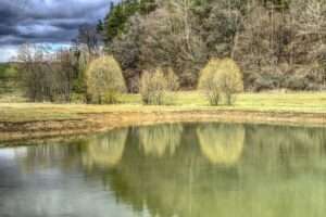 rückstaubecken, rückhaltebecken, flutbecken, feuerlöschteich, löschteich, sauber ohne pflanzen, teichreinigung24