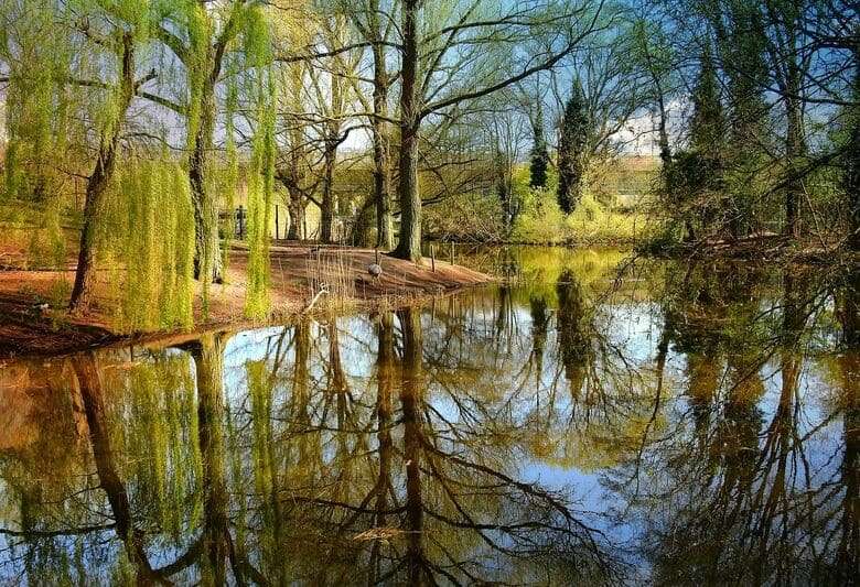 Dorfteich gereinigter Teich mit sauberem Wasser, Pflanzen entfernen im Teich, Teichreinigung, Pflanzenschnitt von Teichreinigung24, Firma in der Nähe, Berlin Brandenburg