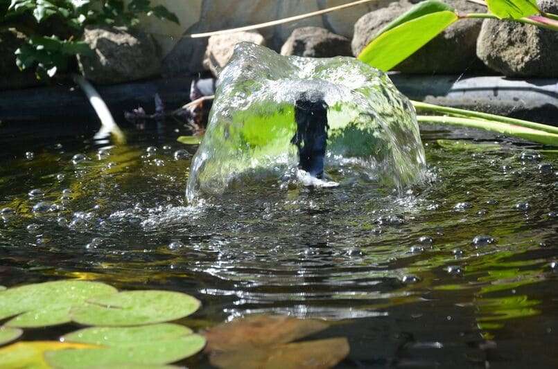 Kleiner Springbrunnen im sauberen Wasser im Sommer im Gartenteich, Teichpflege, Teichreinigung24