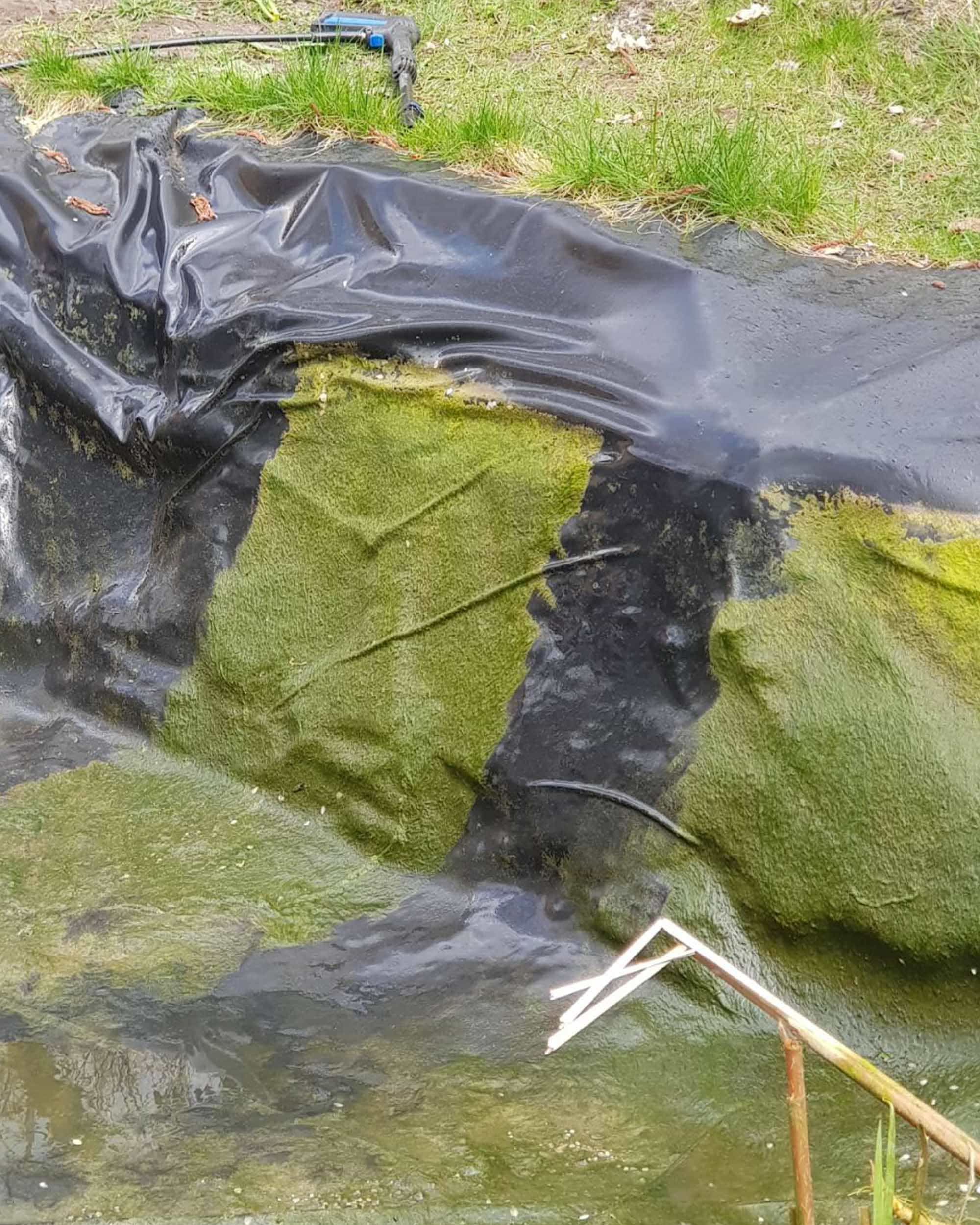 Teichschlamm entfernen Oranienburg, Teichreinigung, Teichpflege Bernau, Teichschlamm entfernen Berlin, Algen entfernen