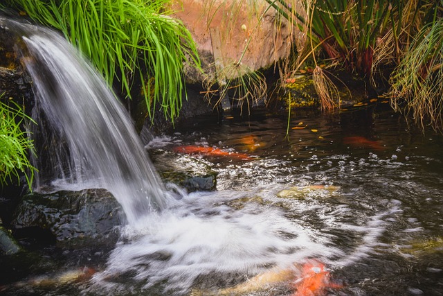 Bachlauf Bau mit Teich Springbrunnen Teichbau Teichreinigung24 Berlin Brandenburg Oranienburg Nauen Schöneiche Erkner