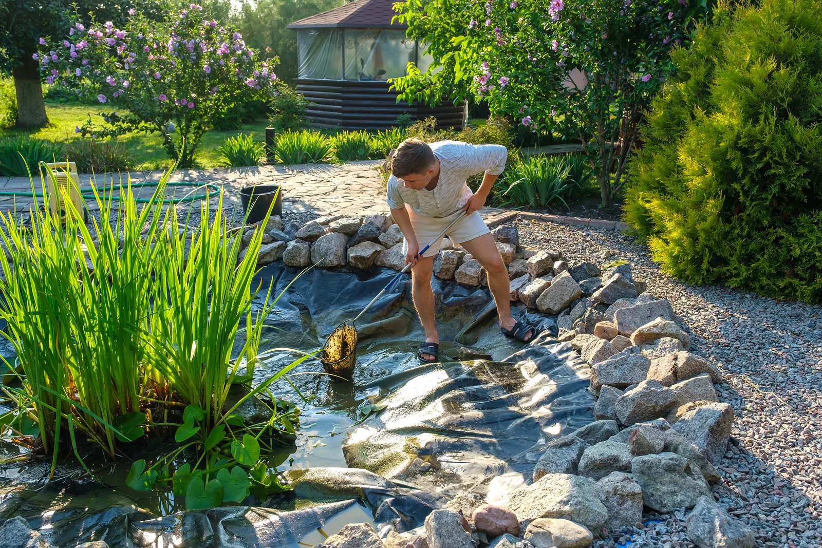 Teichreinigung im Garten zur effektiven Algenentfernung