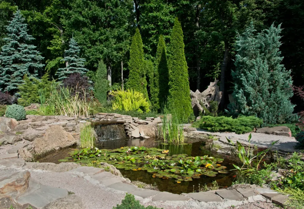 Zierteich mit Seerosen und Wasserfall in einer Gartenanlage