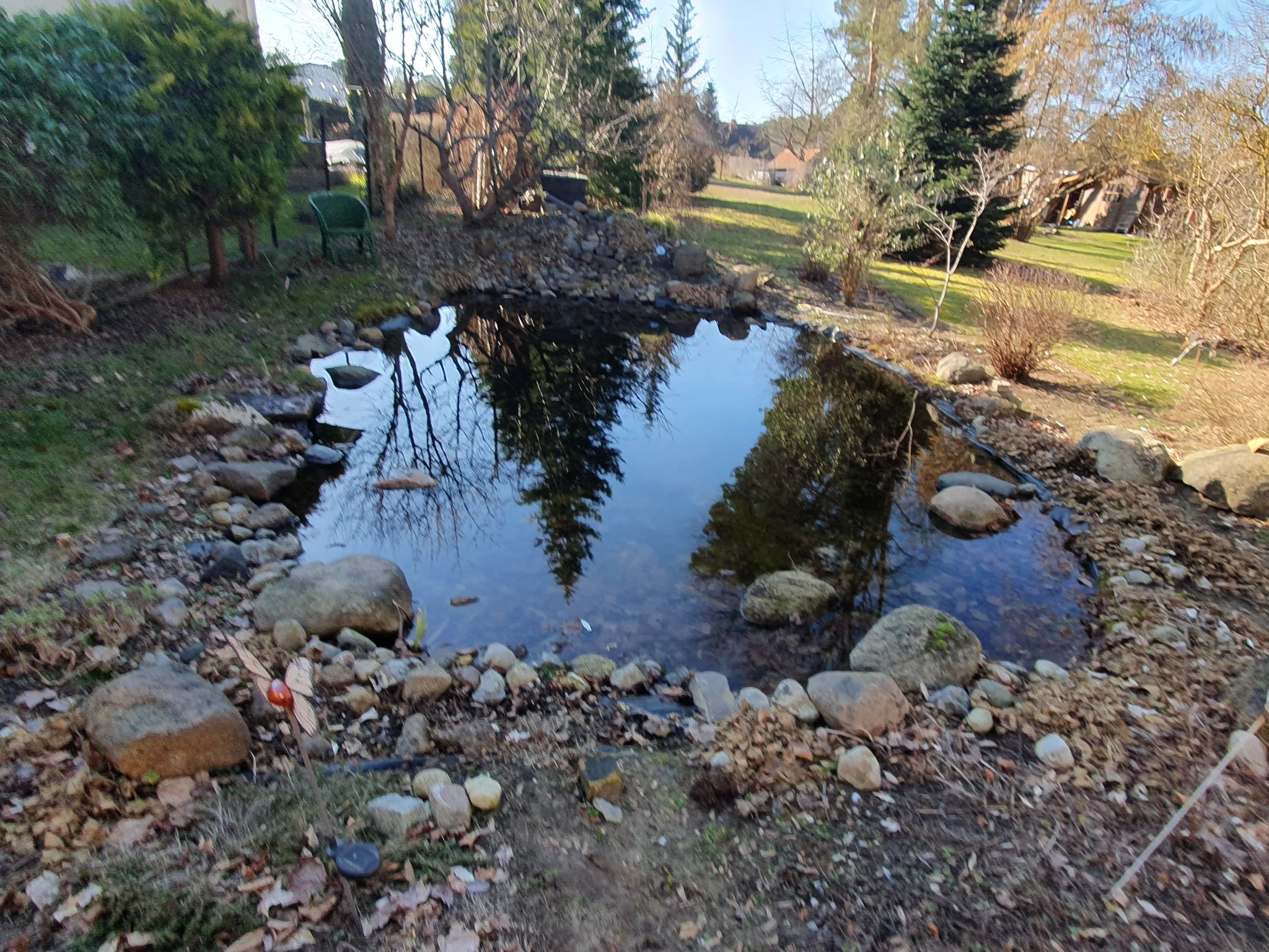 Gartenteich mit verwildertem Ufer vor der Sanierung