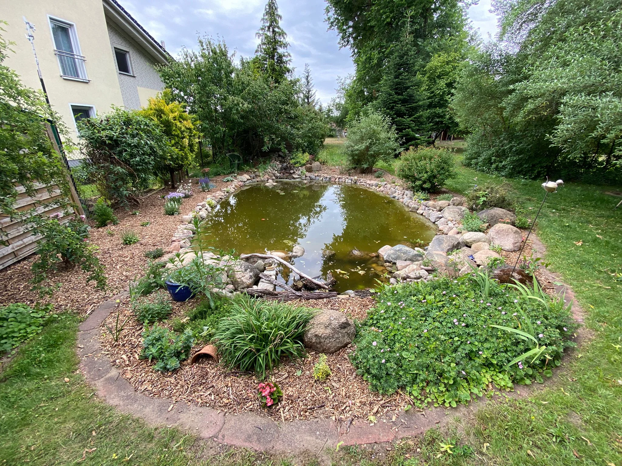 Gartenteich mit trübem Wasser vor der Reinigung, umgeben von Steinen und bepflanztem Ufer