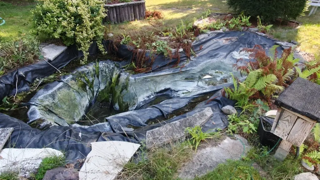 Gartenteich in der Sanierung mit großflächig ausgelegter neuer Teichfolie.