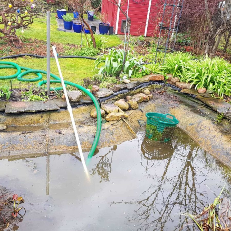 Gartenteichreinigung mit Schläuchen und Pflanzenkörben
