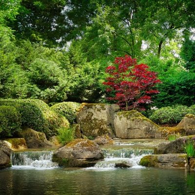 Japanischer Gartenteich mit kleinem Wasserfall und Steinen