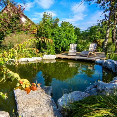 Gepflegter Gartenteich mit Holzdeck und Natursteinen – perfekte Wasserqualität durch regelmäßige Teichpflege.