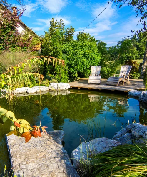 Gepflegter Gartenteich mit Holzdeck und Natursteinen – perfekte Wasserqualität durch regelmäßige Teichpflege.