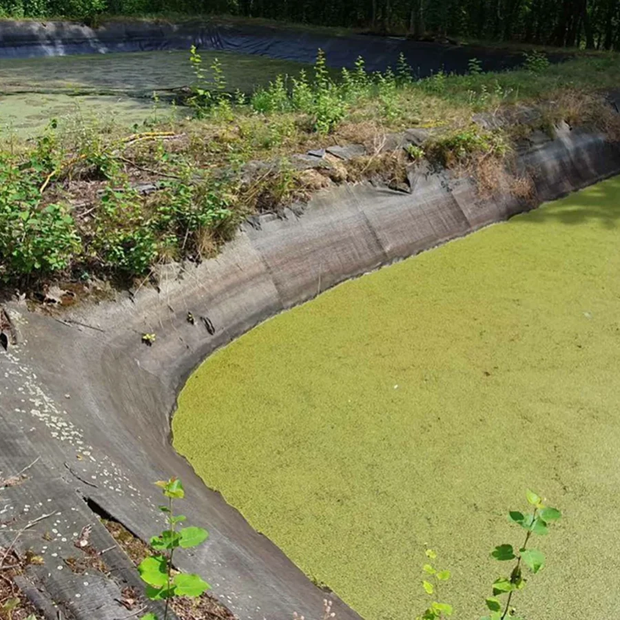 Stark veralgter Löschwasserteich mit Folienauskleidung – nicht DIN 14210-konform