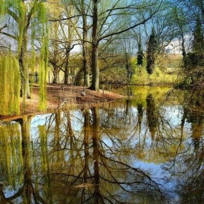 Ruhiger See mit Spiegelung von Bäumen und Weiden am Ufer