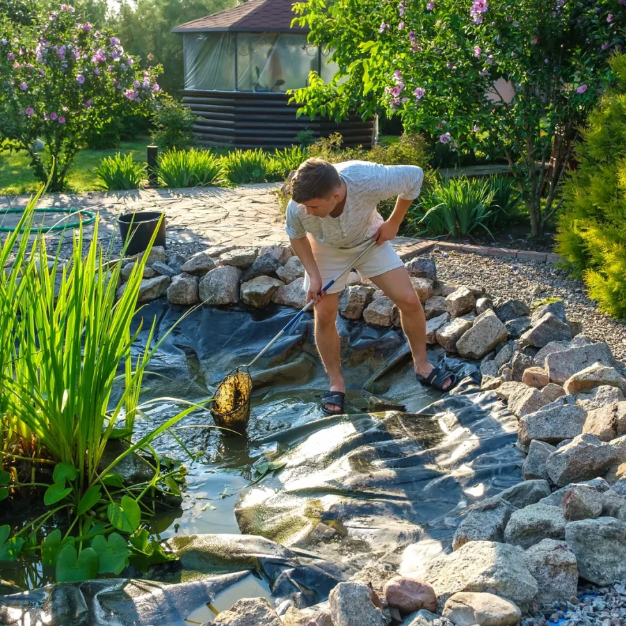 Teichreinigung im Garten zur effektiven Algenentfernung