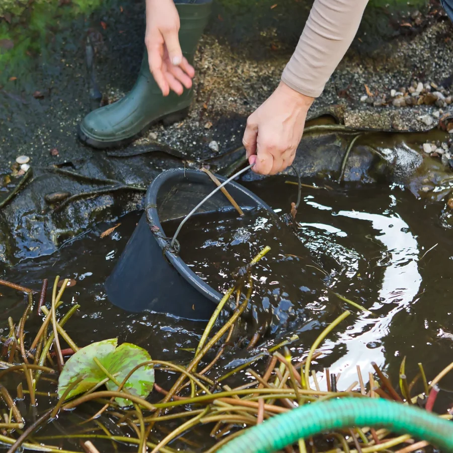 Zwei Fachkräfte entfernen Teichschlamm aus einem verwachsenen Gartenteich