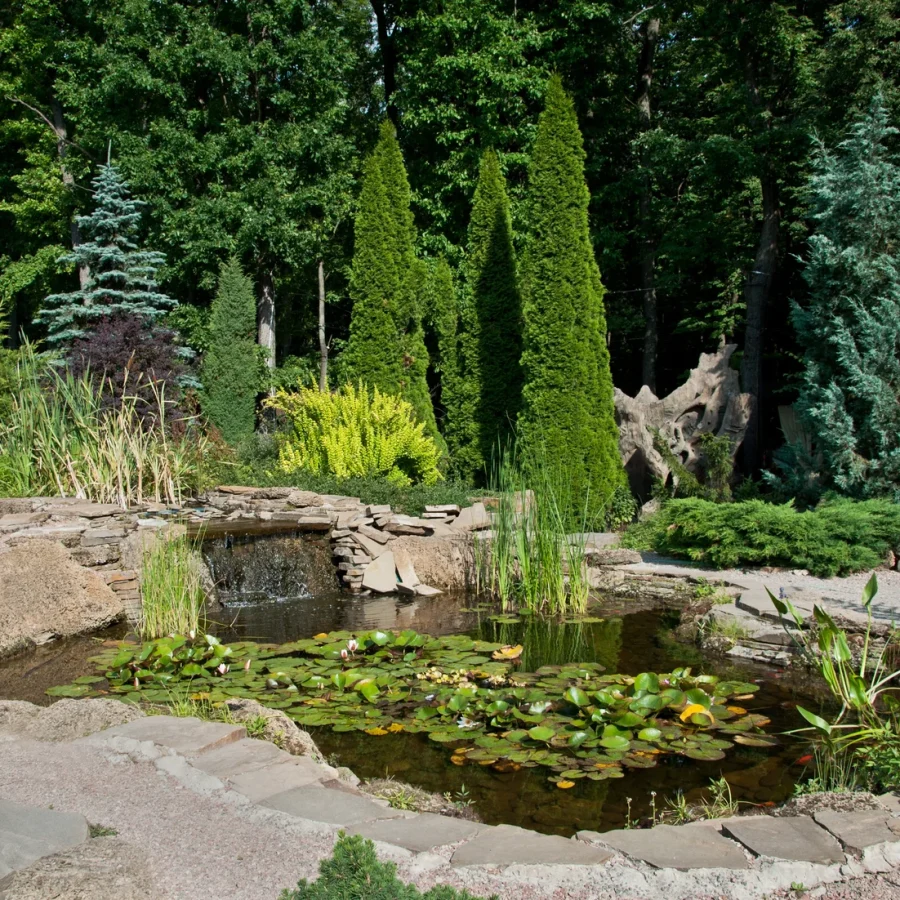 Zierteich mit Seerosen und Wasserfall in einer Gartenanlage